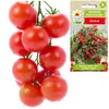 Toraf Gemüsesamen Bajaja Kirschtomate, Packung 0,3g Produktbild-Vorschau 9