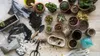 A collection of small potted plants, soil, gardening tools, and decorative stones arranged on a wooden surface, suggesting a potting or gardening activity. Produktbild-Vorschau