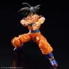 FIGURE RISE DRAGON BALL Z SON GOKU (NOVÁ SPEC. Ver.) Náhled obrázku produktu 10