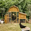 A wooden chicken coop is set up in a garden with chickens nearby. Anteprima dell’immagine prodotto