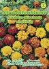Studentenblume Niedrige Mischung  | Studentenblumensamen Produktbild-Vorschau 1