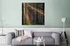 MuchoWow® Poster Bäume - Wald - Sonne - Pflanzen 75x75 cm - Produktbild-Vorschau 5