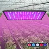 A grow light illuminating rows of lettuce in a greenhouse. Voir les images du produit