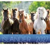 Island Kalender 2027 mit Isländer Pferden, 46 x 39 cm, 24 Produktbild-Vorschau 1