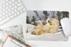 MuchoWow® Mauspad Mousepad Eisbär - Schnee - Höhle - Produktbild-Vorschau 5