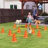 Set PawHut per agility: attrezzatura da agility in 6 pezzi Anteprima dell’immagine prodotto 2
