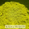 ANNUMISIA® Artemisia Annua Blattpulver 100 g - Einjähriger Produktbild-Vorschau 5