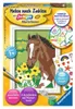 Ravensburger 28463, Obrazy v balení, Chlapec/děvče, Náhled obrázku produktu 5