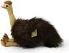 Peluche Emu 36 Cm Ecologico Anteprima dell’immagine prodotto 3