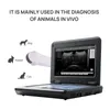 Échographe vétérinaire Échographe B pour chiens et chats Voir les images du produit 3