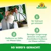 Neudorff Azet Grünpflanzendünger 1L für 200L Gießwasser  – Produktbild-Vorschau 5