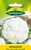 Quedlinburger Saatgut - Blumenkohl Erfurt - Samen - 421202 Produktbild-Vorschau 3