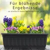Balkonkasten mit Wasserstandsanzeiger, Pflanzkasten 3er Produktbild-Vorschau 8