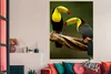 MuchoWow® Poster Vögel - Tukan - Zweig - Tiere - Regenbogen Produktbild-Vorschau 2