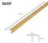 Dalsys T-Profil 100cm, 13mm, Gold, Übergangsprofil, Produktbild-Vorschau 3