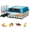 Couveuse entièrement automatique, incubateur de 36 œufs Voir les images du produit 1