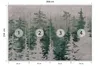 Muralo Selbstklebende Fototapete Für Wohnzimmer BÄUME Wald Produktbild-Vorschau 2