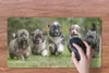 MuchoWow® Mauspad Mousepad Welpen - Hunde - Tiere 60x30 cm Produktbild-Vorschau 3