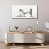 Coloray Bild aus Leinwand 100x50 Leinwand Dekoration - Tier Produktbild-Vorschau 4
