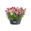 Miska Green Basics - żywa czerń 27 cm Podgląd zdjęcia produktu 2
