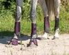QHP Q-Cross Eventing Gamaschen hinten Produktbild-Vorschau 6