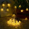 A string of solar-powered fairy lights with round, textured bulbs, draped over a wooden planter and a decorative frame, on a surface with printed text. Voir les images du produit