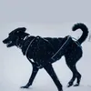 Non-stop dogwear Hundehalsband Polar Collar schwarz, Größe: Produktbild-Vorschau 6