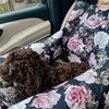 Autostoel voor hond DOGESTE – transportbox en hondenmand Productafbeelding-voorbeeld 8