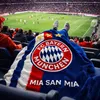 FC Bayern München Decke 150x200 cm – Flauschige Produktbild-Vorschau 3