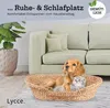 Lycce Katzenbett Hundebett für kleine Hunde Wasserhyazinthe Produktbild-Vorschau 9