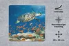 MuchoWow® Mauspad Mousepad Korallenriff mit Schildkröte Produktbild-Vorschau 2