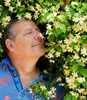 BALDUR Garten 3x Winterharter Jasmin 'Star of Toscane®' Produktbild-Vorschau 3