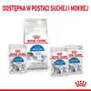 Royal Canin Indoor Sterilized, Adult, jede Rasse, Fleisch, Produktbild-Vorschau 9
