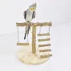 Heikoeco® wellensittich spielzeug, Holz, mit Leiter & Produktbild-Vorschau 5