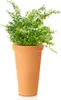 A potted plant in a terracotta pot against a white background. Náhľad obrázku produktu