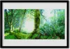 Bild 70x50 MDF-Rahmen Wandkunst Wald Moos Natur Produktbild-Vorschau 1