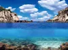Aqua Nova PFLANZEN/OZEAN L HINTERGRUND 100X50cm Produktbild-Vorschau 5
