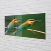 Glasbilder 140x70 Wandkunst Bunte Papageien auf einem Zweig Produktbild-Vorschau 2