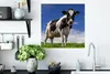 MuchoWow® Poster Kuh - Gras - Blau - Tiere 50x50 cm - Produktbild-Vorschau 3