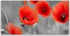 Küchenrückwand aus Glas 120x60cm Spritzschutz Mohnblumen Produktbild-Vorschau 1