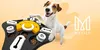 A dog is interacting with an interactive dog toy. Podgląd zdjęcia produktu