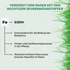 Gekörnter Eisendünger 10 kg Produktbild-Vorschau 4