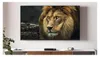 Telestar Digistar C HD DVB-C HD-Receiver Produktbild-Vorschau 6