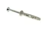 A single screw and wall plug assembly against a white background. Produktbild-Vorschau