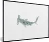 MuchoWow® MuchoWow® Gerahmtes Poster Hai - Aquarell - Grau Produktbild-Vorschau 1