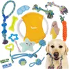 A collection of dog toys and a dog, presented in a collage style. Náhled obrázku produktu