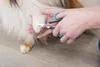 Trixie gezichts- en pootschaar 9 cm Productafbeelding-voorbeeld 6