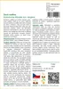 SAFLAX - duch rostlina - Aristolochia littoralis syn. Náhled obrázku produktu 3