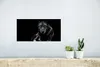 MuchoWow® Poster Tiere - Wolf - Schwarz - Weiß - Porträt Produktbild-Vorschau 5