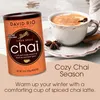 David Rio® Chai Tee Pulver Tiger Spice Chai (398g) - Produktbild-Vorschau 4